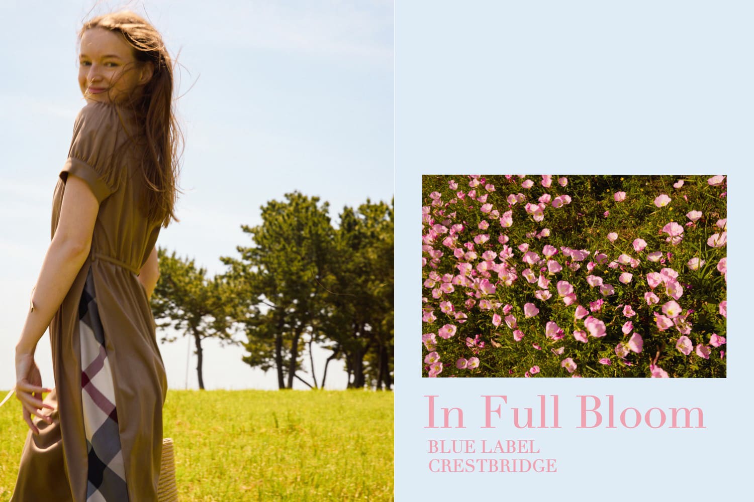In Full Bloom｜BLUE LABEL CRESTBRIDGE(ブルーレーベル