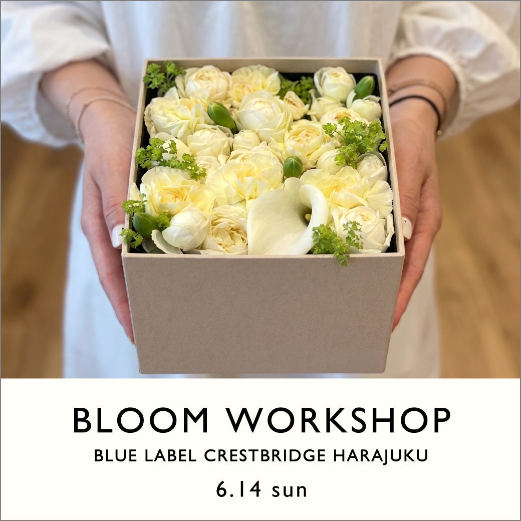 BLOOM WORKSHOP