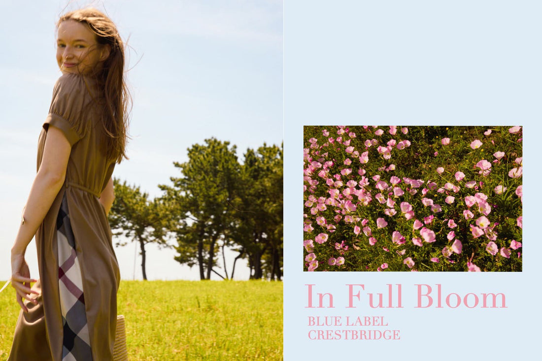 In Full Bloom