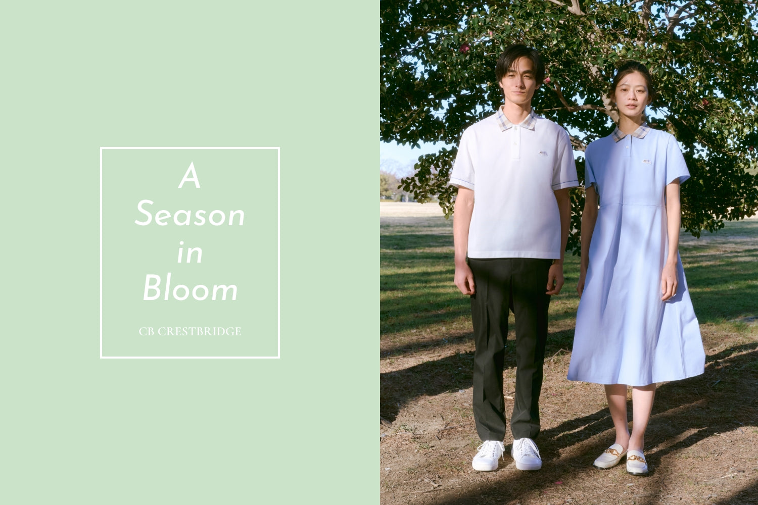 A Season in Bloom